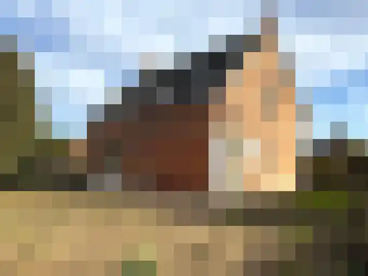 Dorpsstraat 26 Nispen thumbnail 42