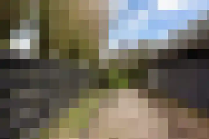Dorpsstraat 26 Renswoude thumbnail 27