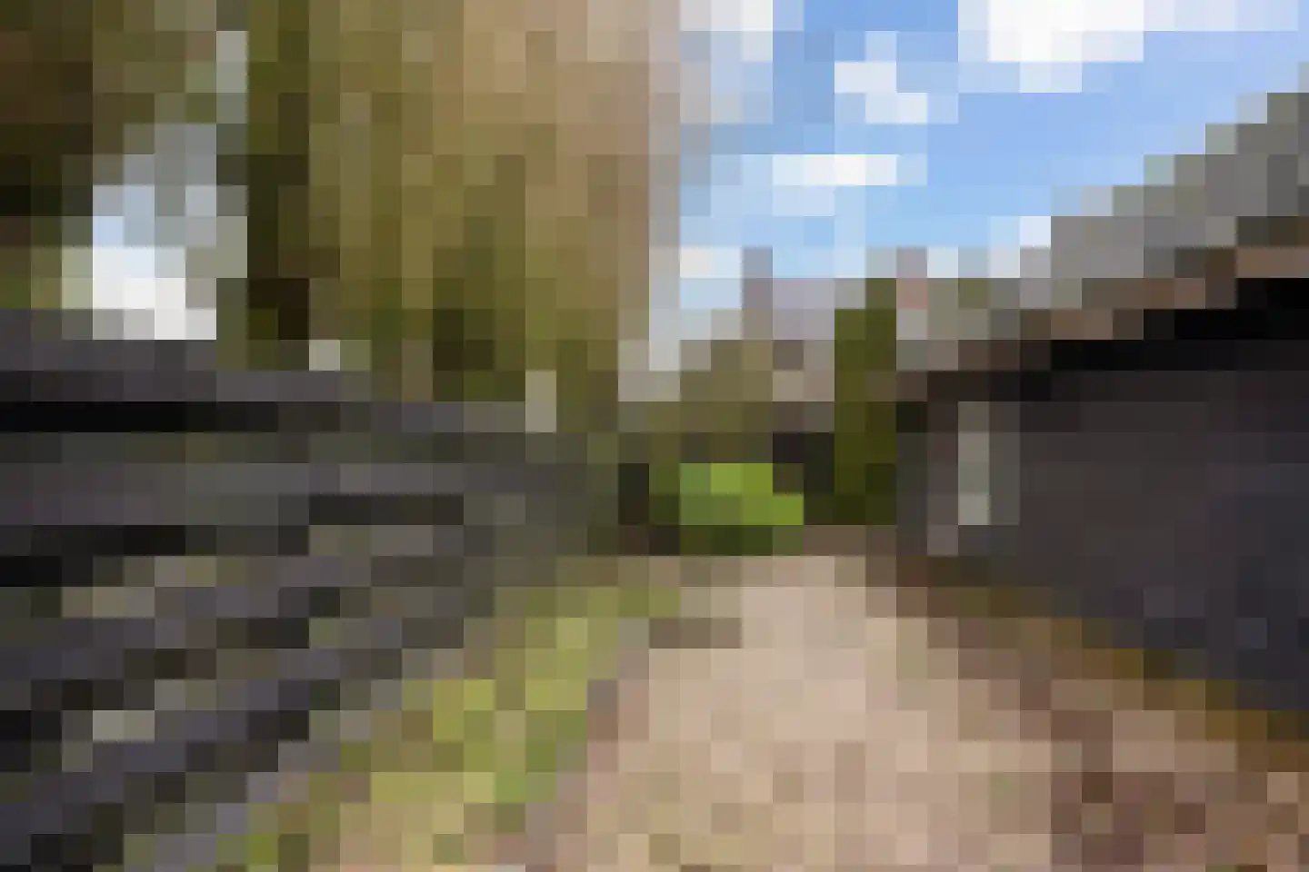 Dorpsstraat 26 Renswoude thumbnail 27