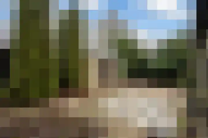 Dorpsstraat 26 Renswoude thumbnail 28