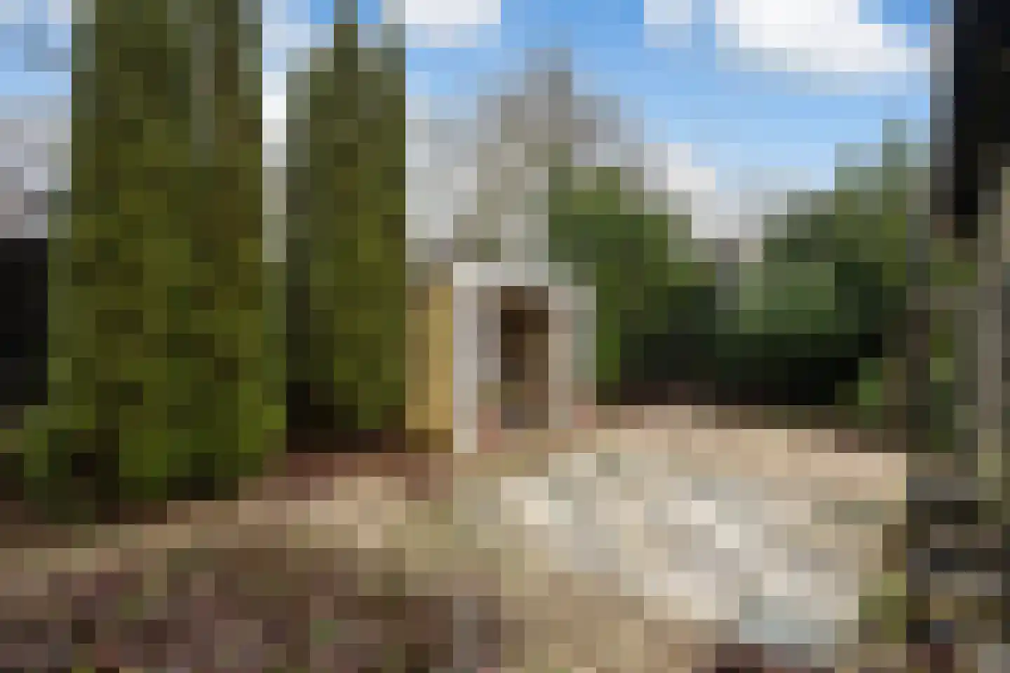Dorpsstraat 26 Renswoude thumbnail 28