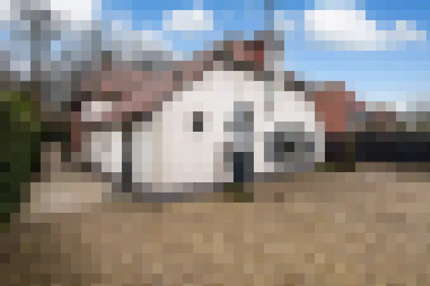 Dorpsstraat 26 Renswoude thumbnail 33