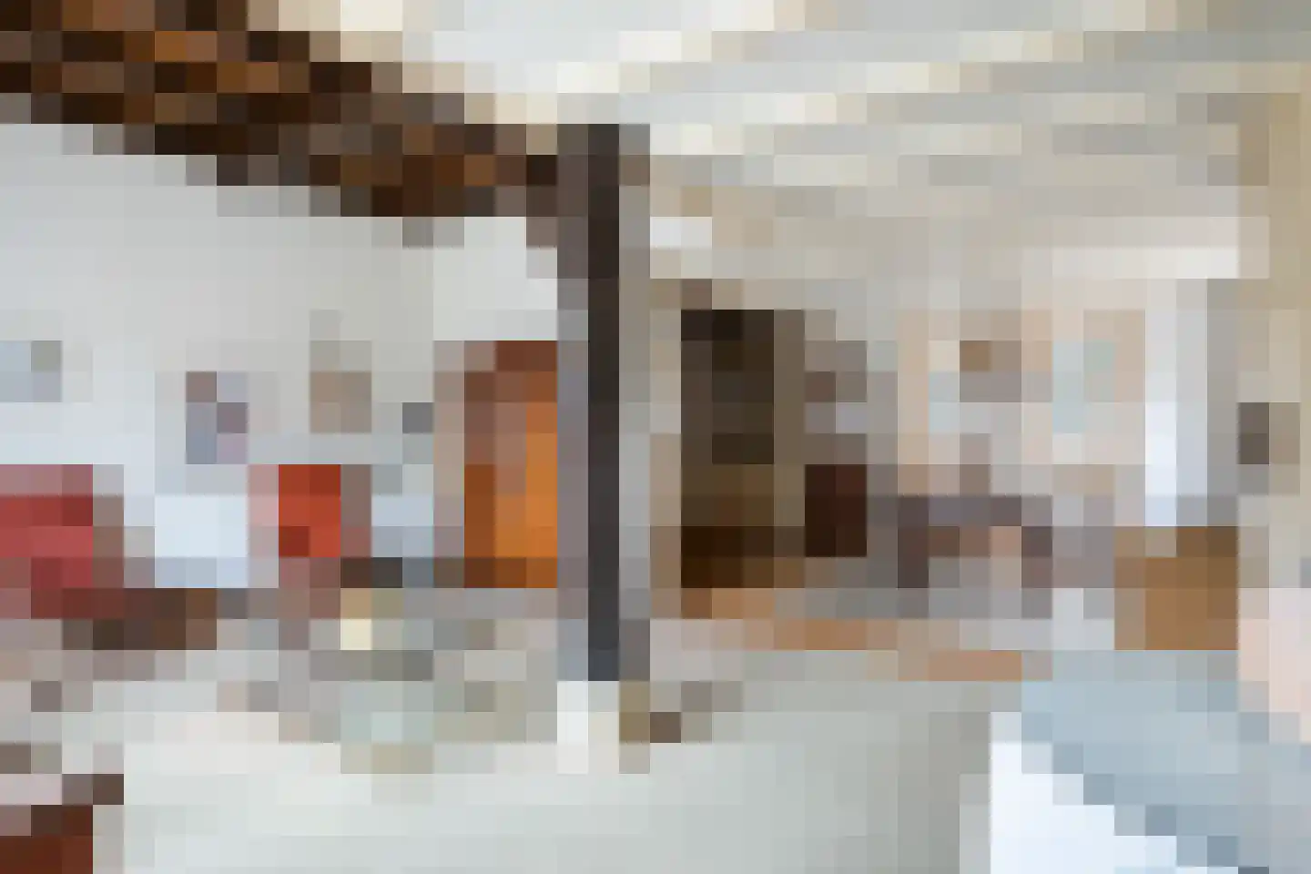 Dorpsstraat 26 Renswoude thumbnail 4