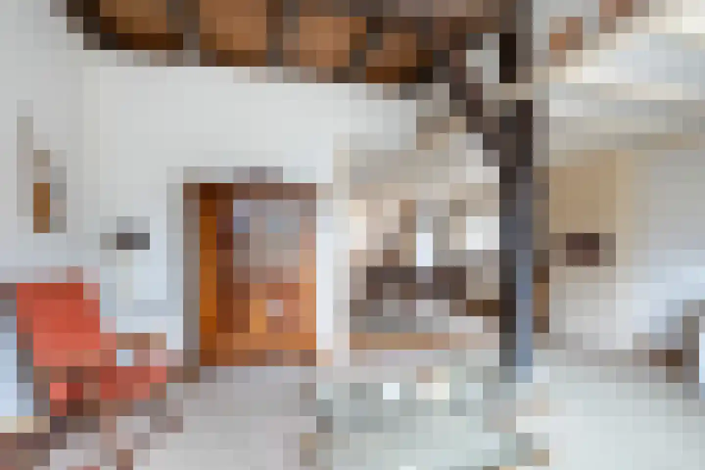 Dorpsstraat 26 Renswoude thumbnail 6