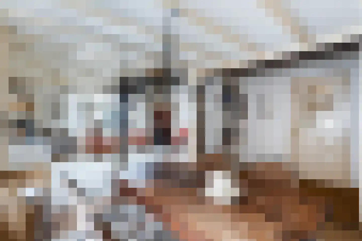 Dorpsstraat 26 Renswoude thumbnail 7