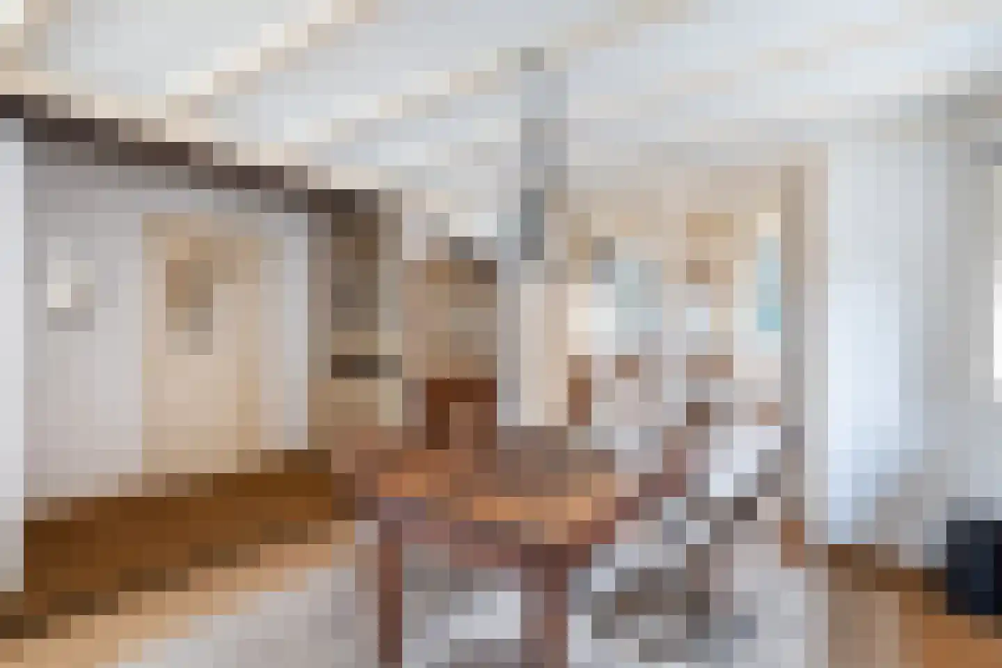 Dorpsstraat 26 Renswoude thumbnail 8
