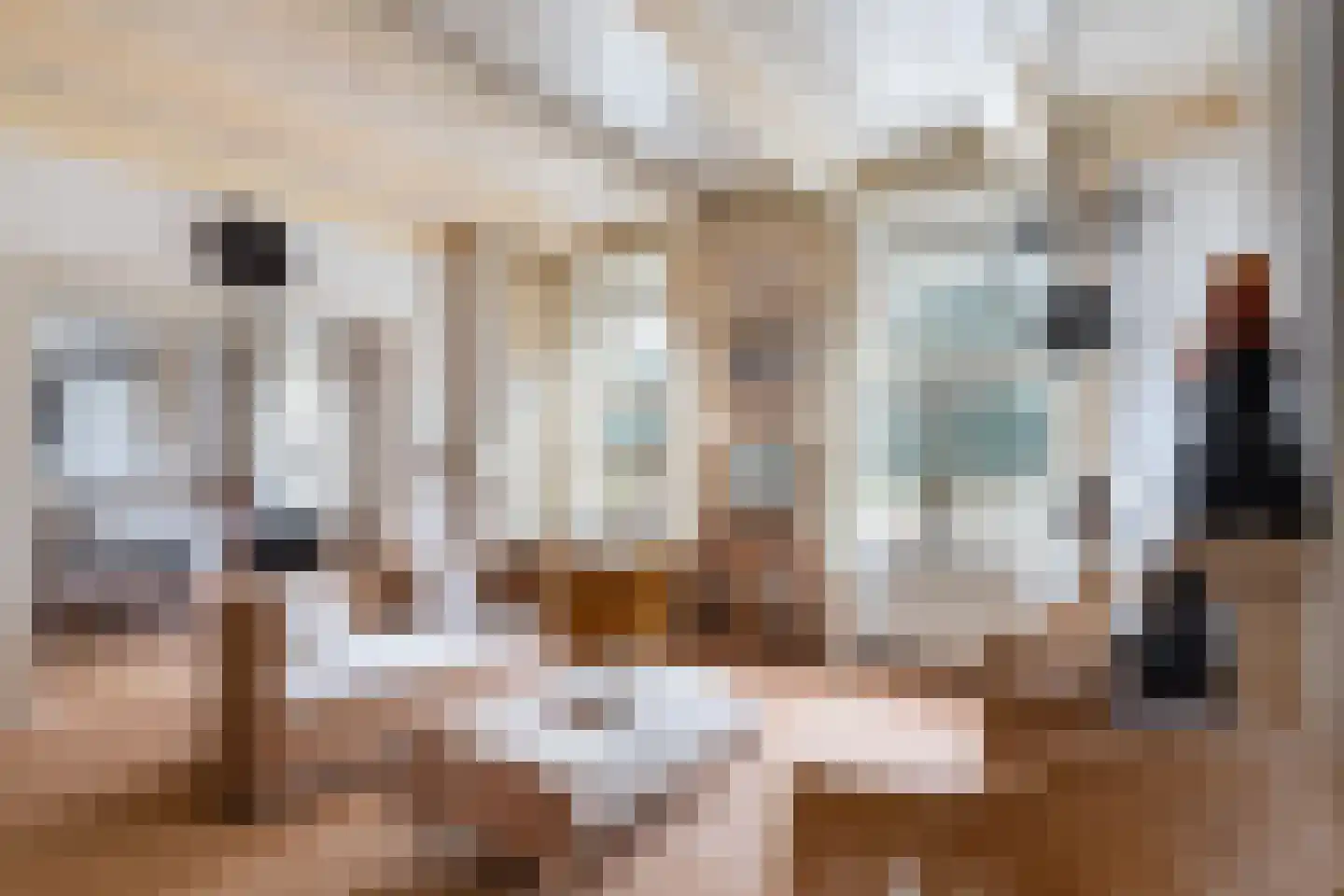 Dorpsstraat 26 Renswoude thumbnail 9