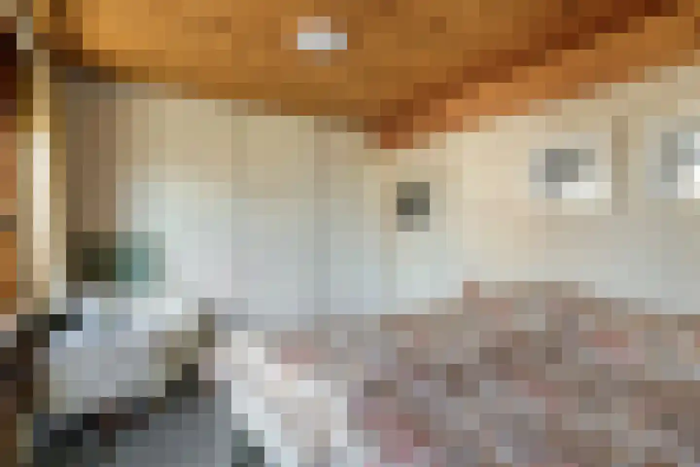Dorpsstraat 26 Ulicoten thumbnail 26