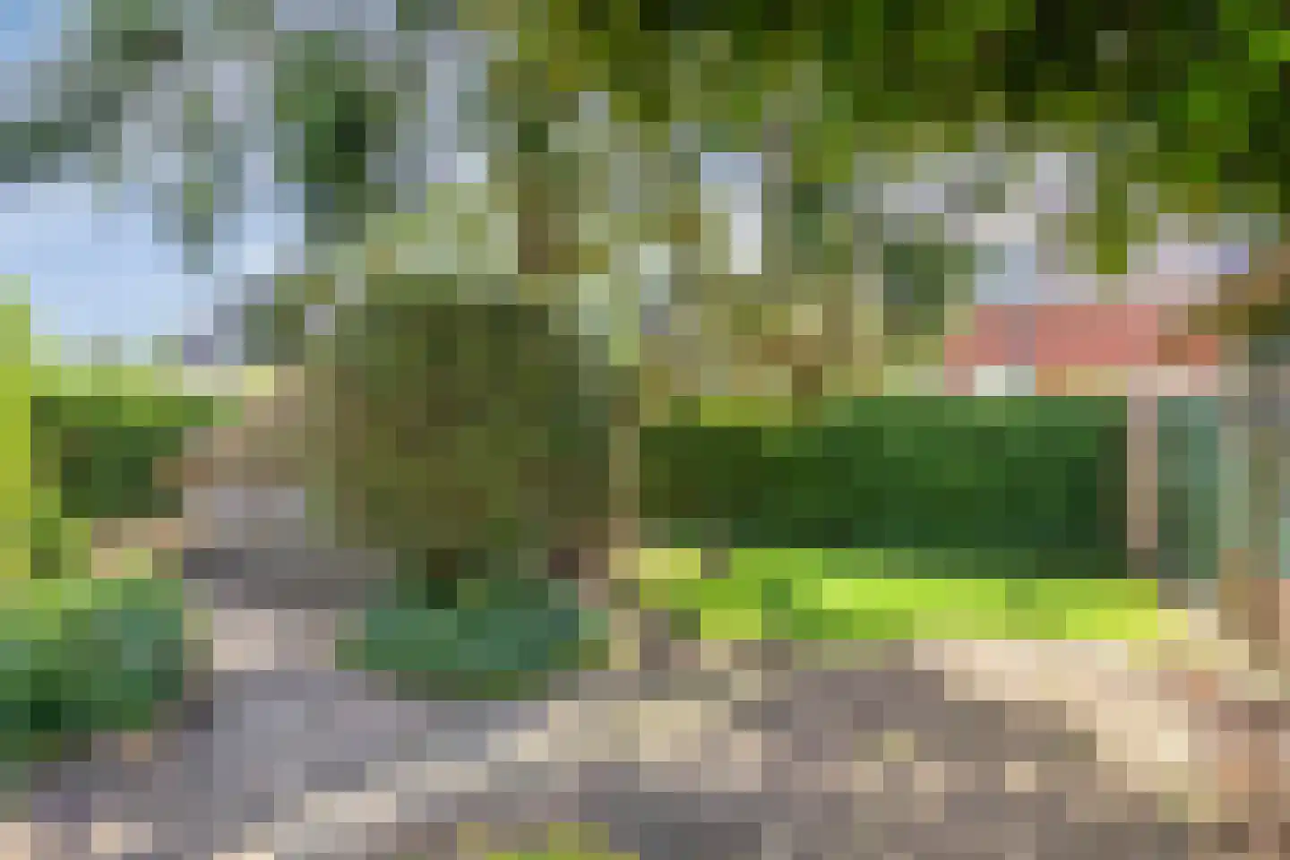 Dorpsstraat 26 Ulicoten thumbnail 38