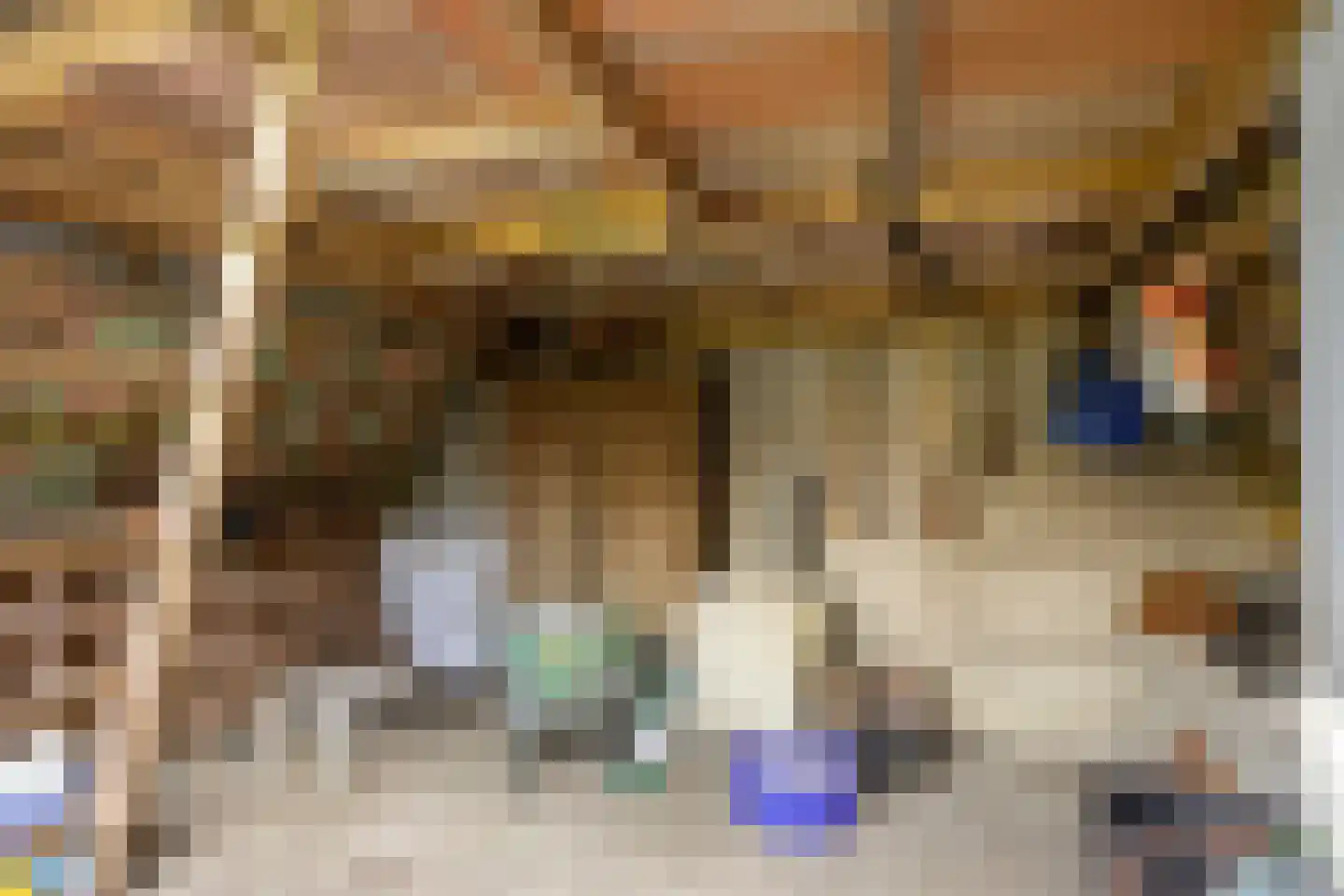Dorpsstraat 26 Ulicoten thumbnail 41