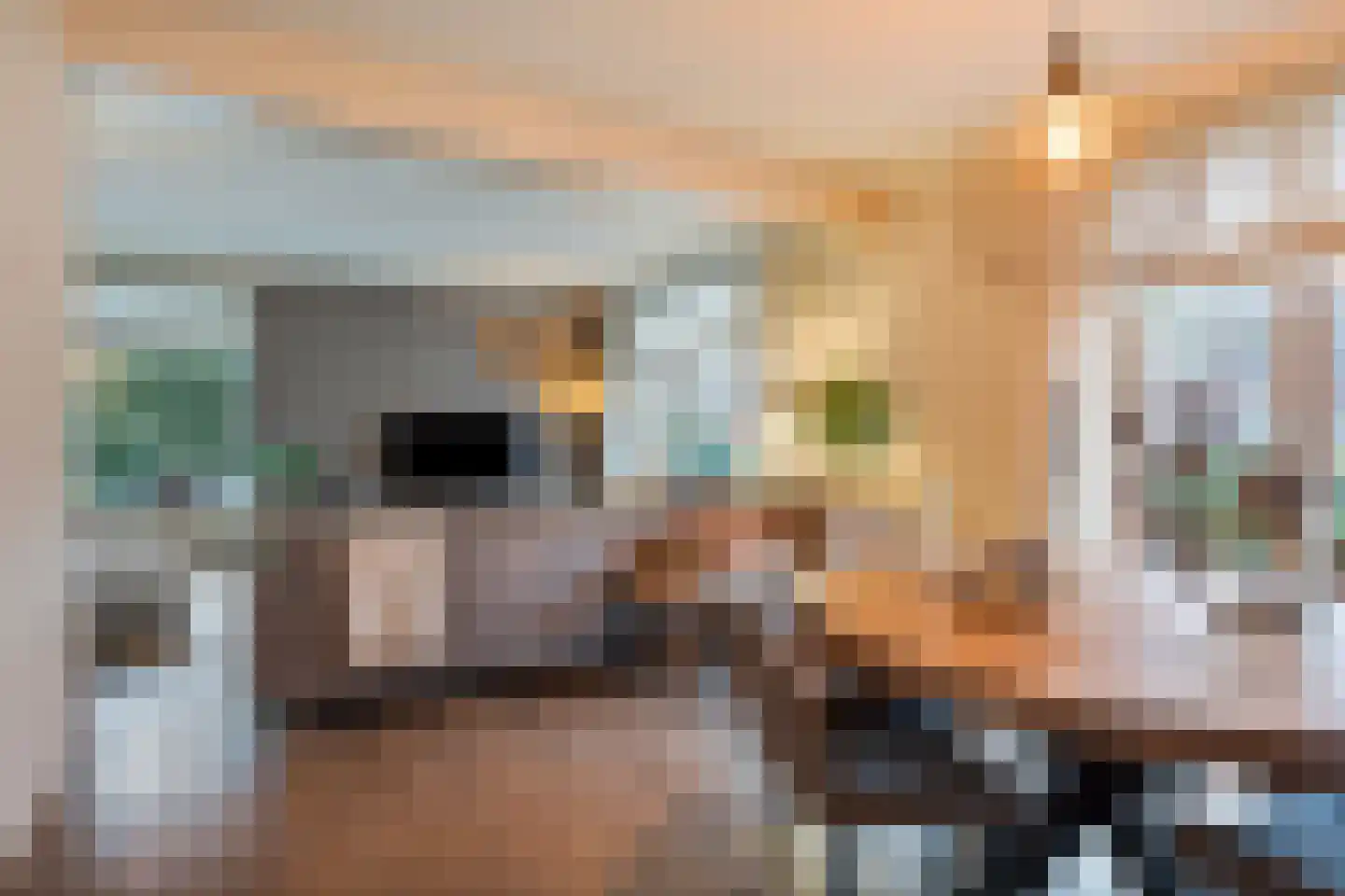 Dorpsstraat 26 Wanroij thumbnail 14