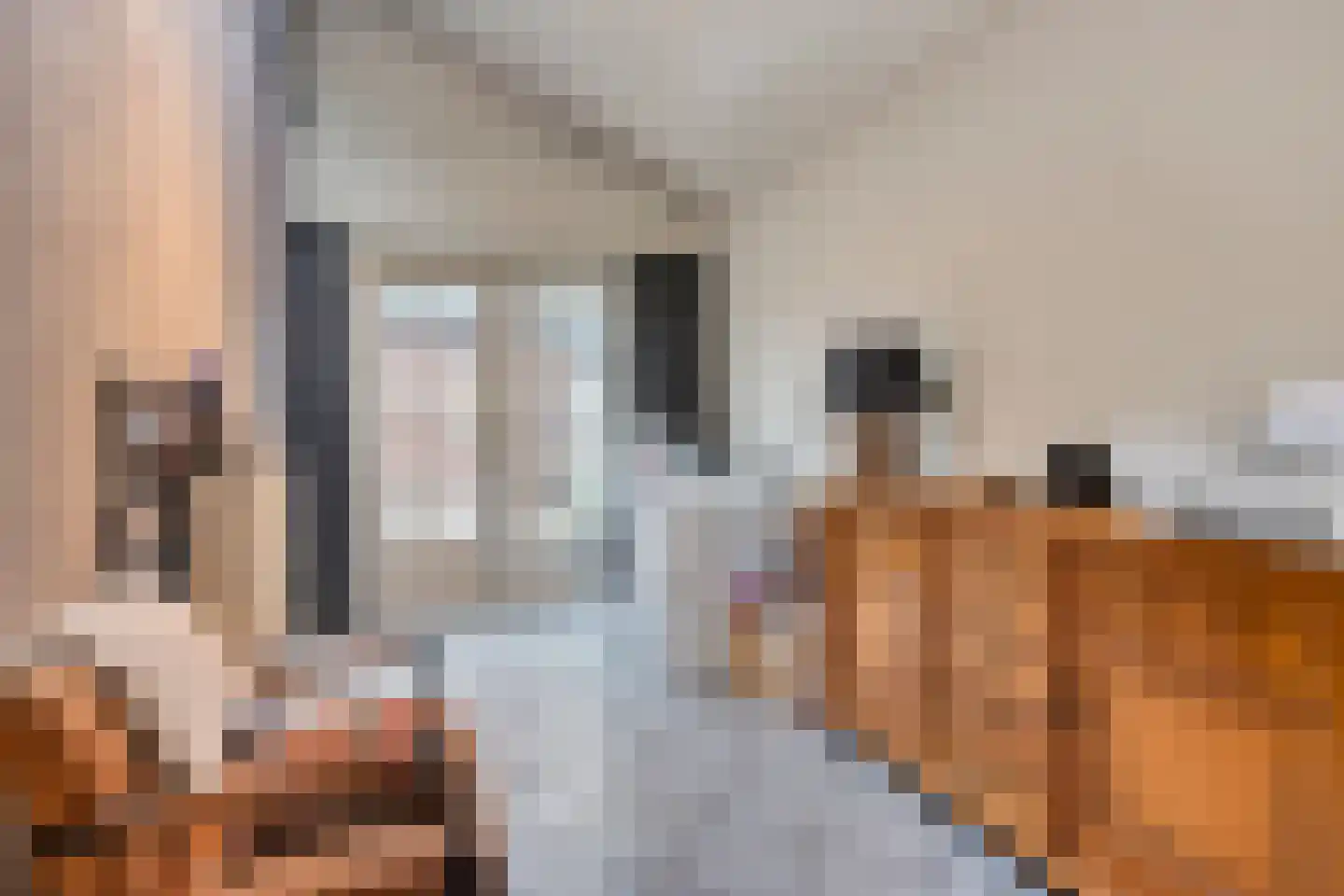 Dorpsstraat 26 Wanroij thumbnail 20