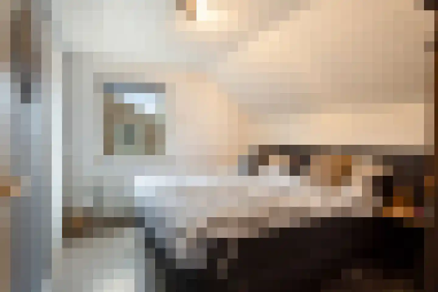 Dorpsstraat 26 Wanroij thumbnail 25