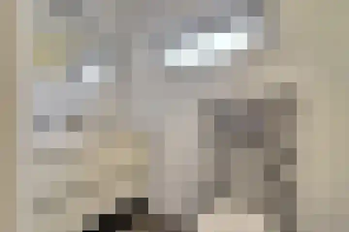Dorpsstraat 26 Wilp thumbnail 21