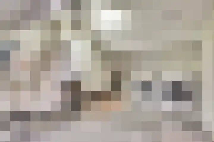 Dorpsstraat 26 Wilp thumbnail 26