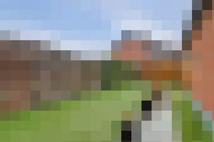 Dorpsstraat 26 Wilp thumbnail 30