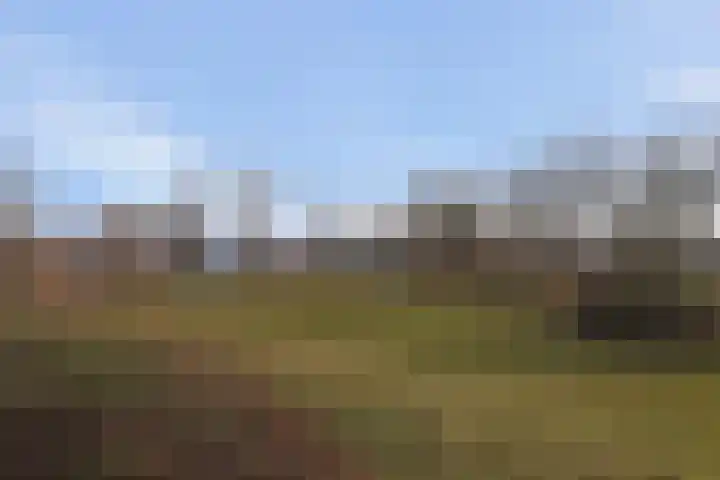 Dorpsstraat 26 Wilp thumbnail 33