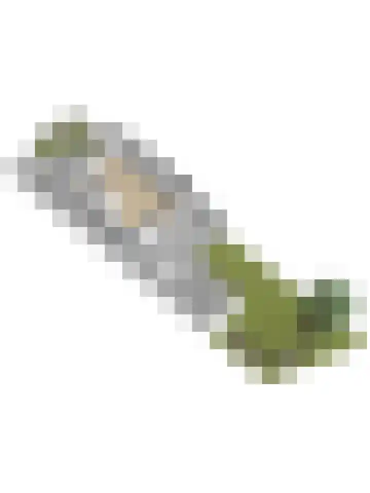 Dorpsstraat 26 Wilp thumbnail 43