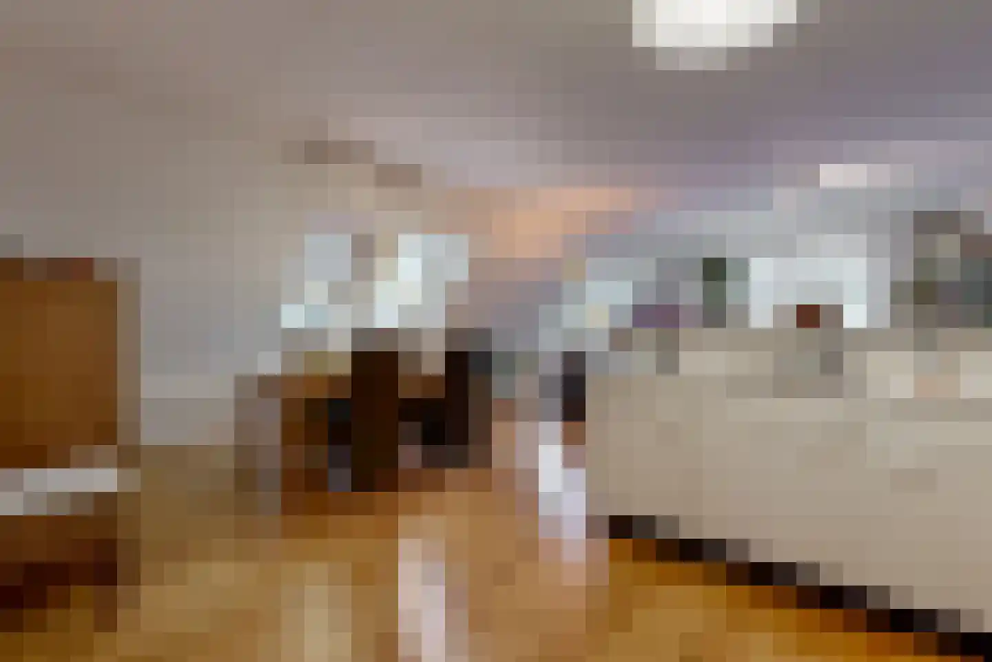 Dorpsstraat 26 Zoeterwoude thumbnail 10