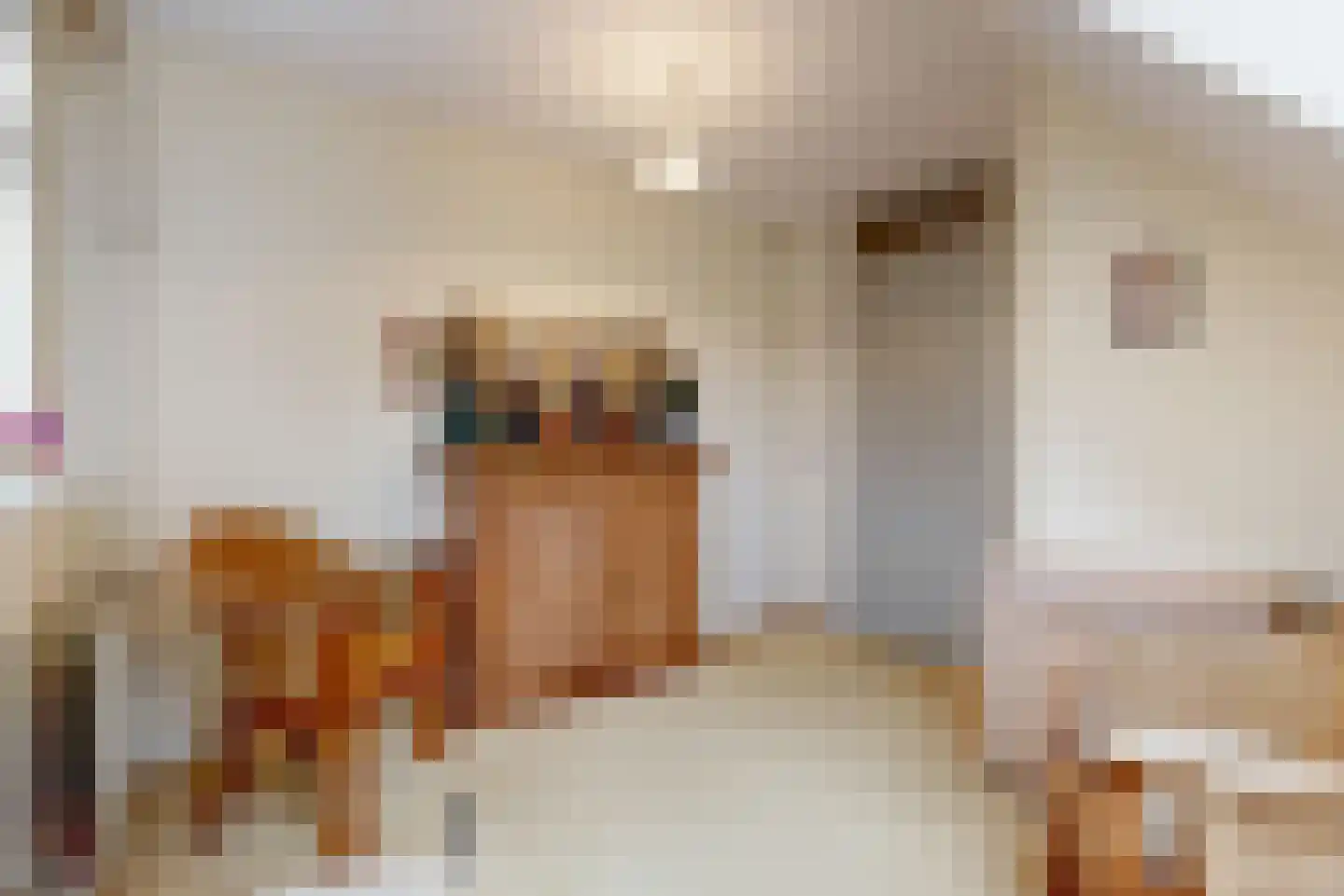 Dorpsstraat 26 Zoeterwoude thumbnail 16