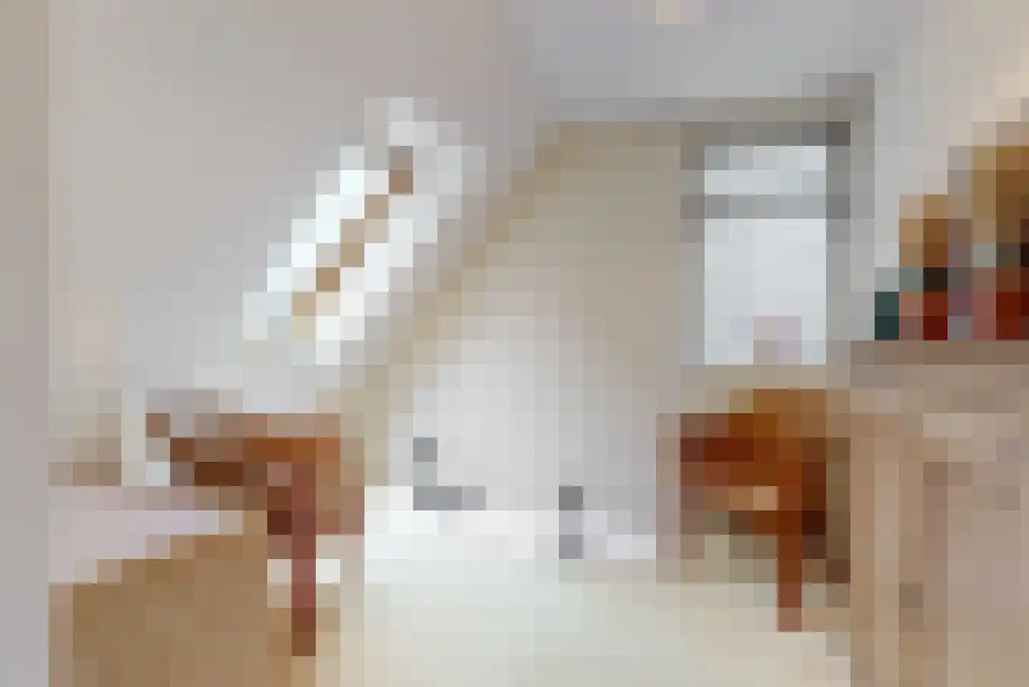Dorpsstraat 26 Zoeterwoude thumbnail 17