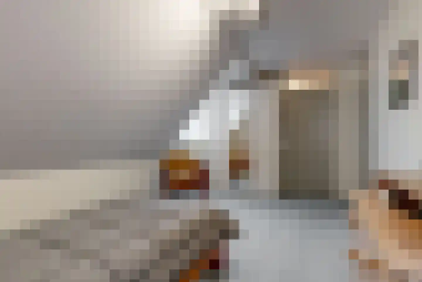 Dorpsstraat 26 Zoeterwoude thumbnail 18