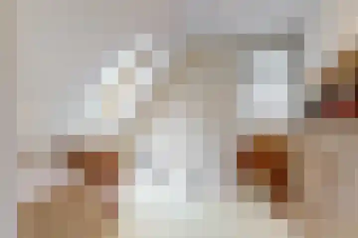 Dorpsstraat 26 Zoeterwoude thumbnail 18