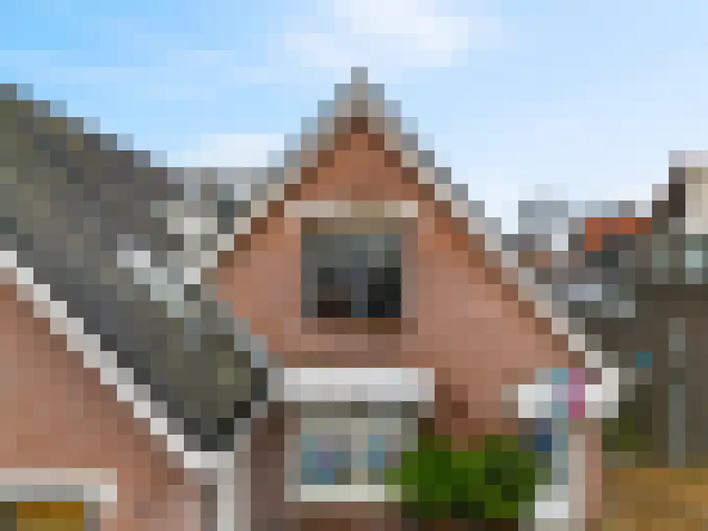 Dorpsstraat 26 Zoeterwoude thumbnail 24