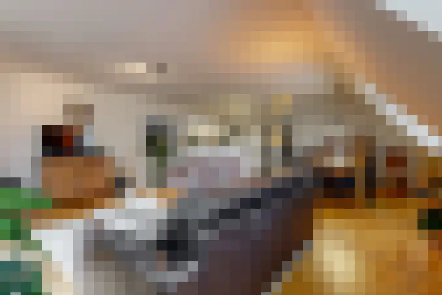 Dorpsstraat 26 Zoeterwoude thumbnail 4