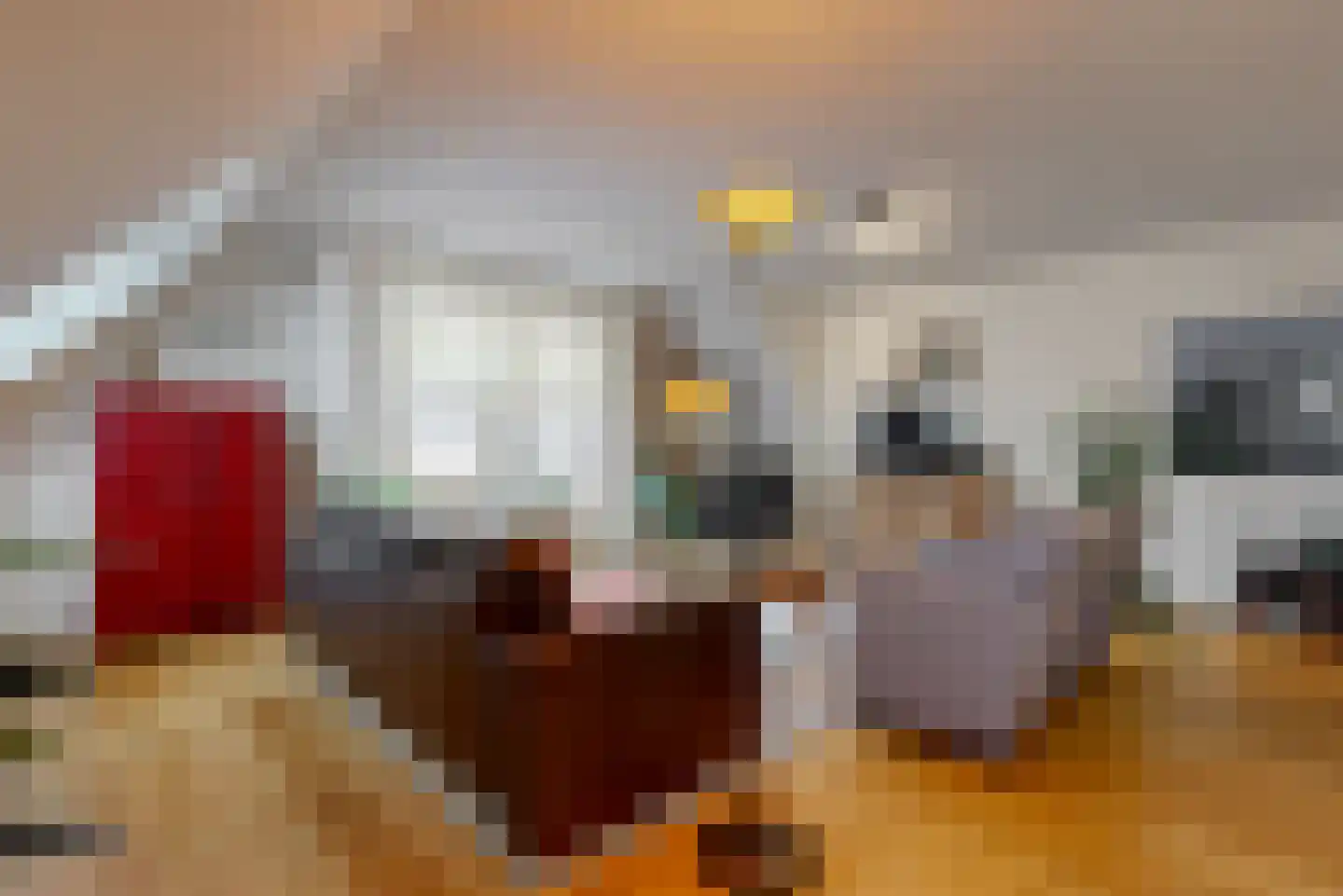 Dorpsstraat 26 Zoeterwoude thumbnail 7