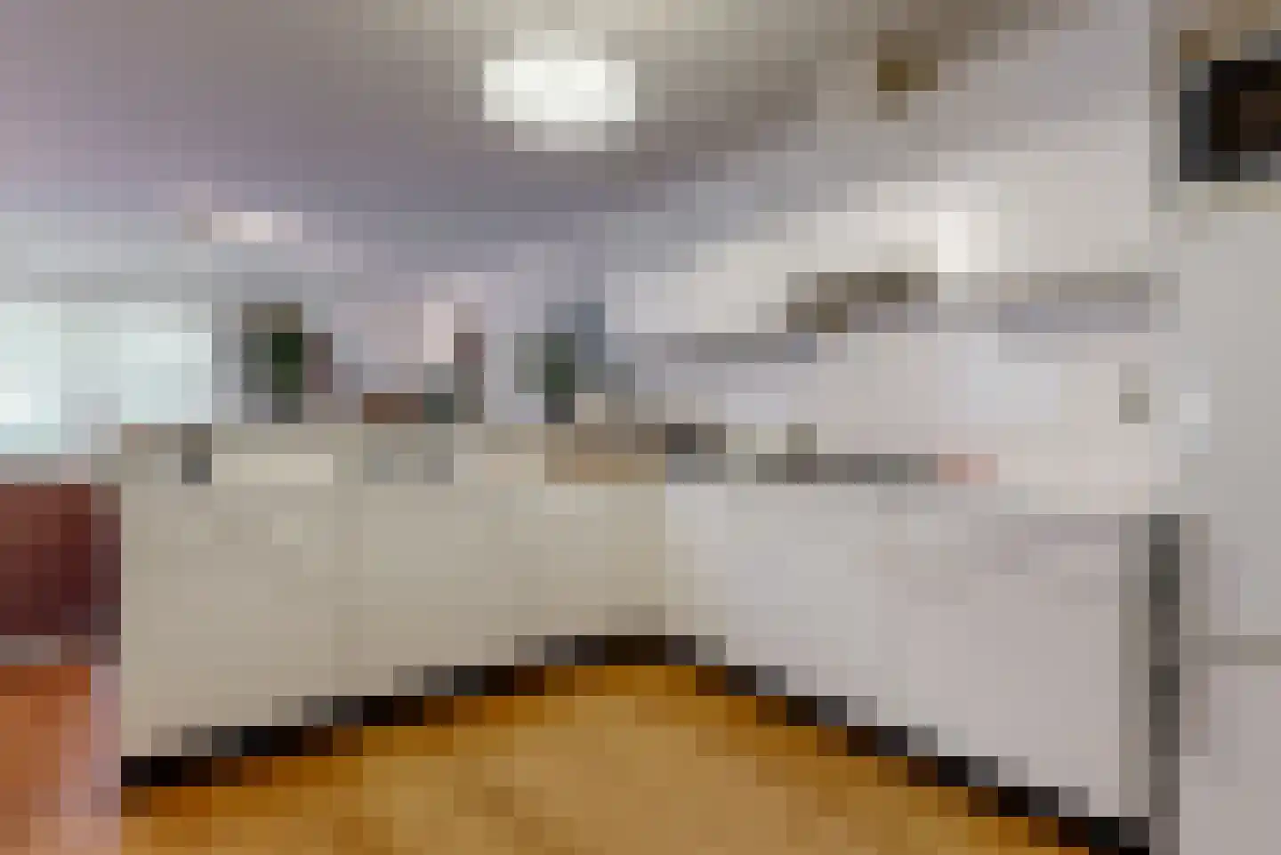 Dorpsstraat 26 Zoeterwoude thumbnail 9