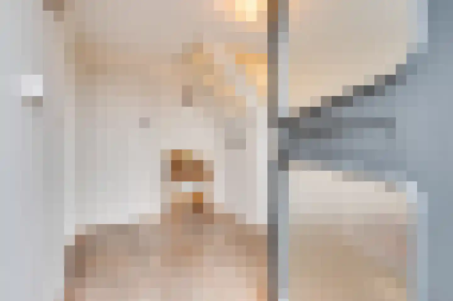 Dorpsstraat 266 Zuid-Scharwoude thumbnail 14