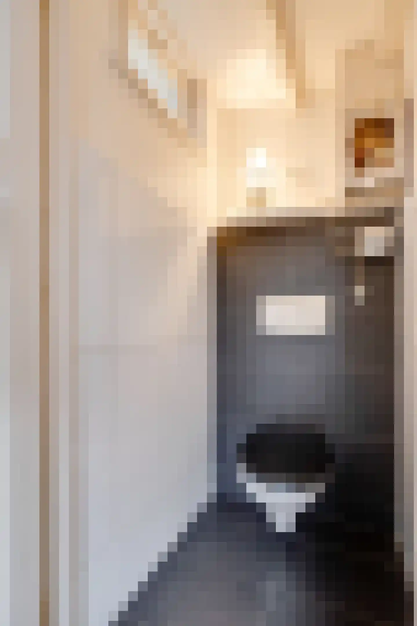 Dorpsstraat 266 Zuid-Scharwoude thumbnail 27
