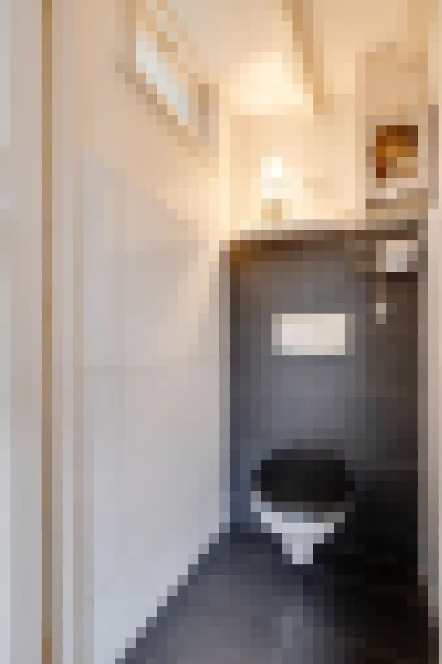 Dorpsstraat 266 Zuid-Scharwoude thumbnail 28