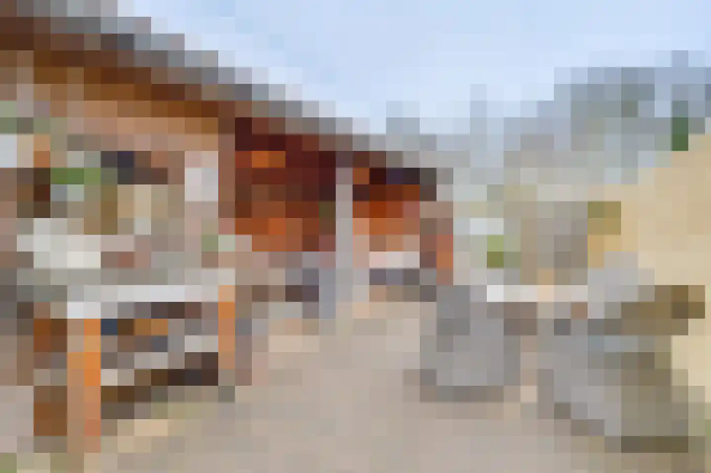 Dorpsstraat 266 Zuid-Scharwoude thumbnail 31