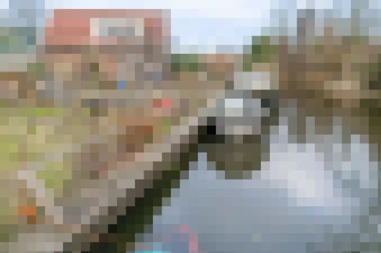 Dorpsstraat 266 Zuid-Scharwoude thumbnail 35