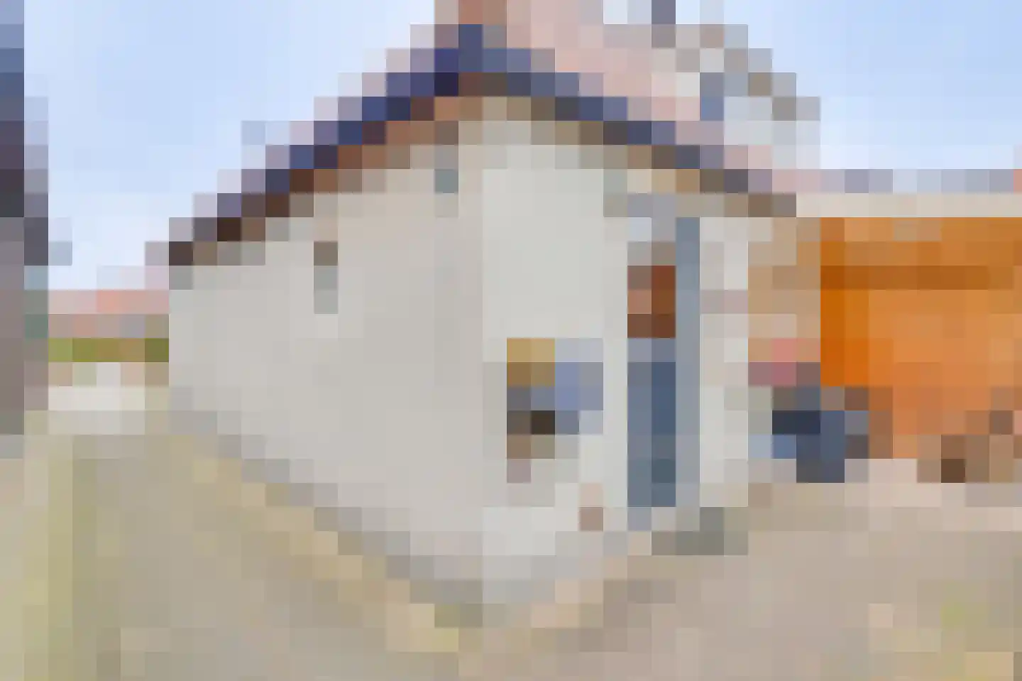 Dorpsstraat 266 Zuid-Scharwoude thumbnail 39