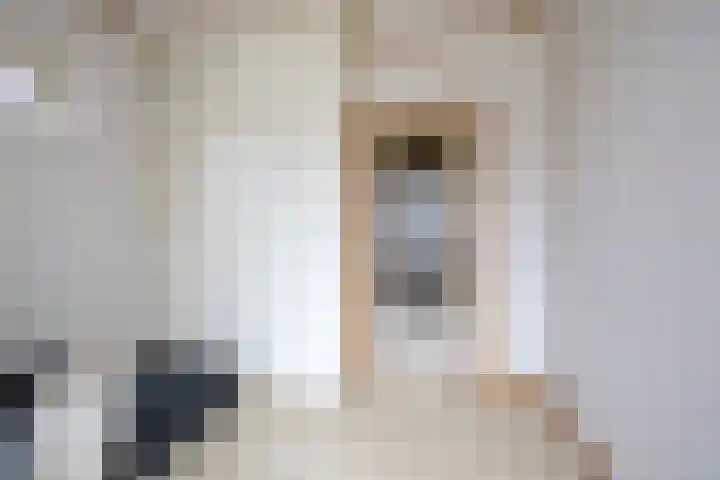 Dorpsstraat 269 Wormer thumbnail 12
