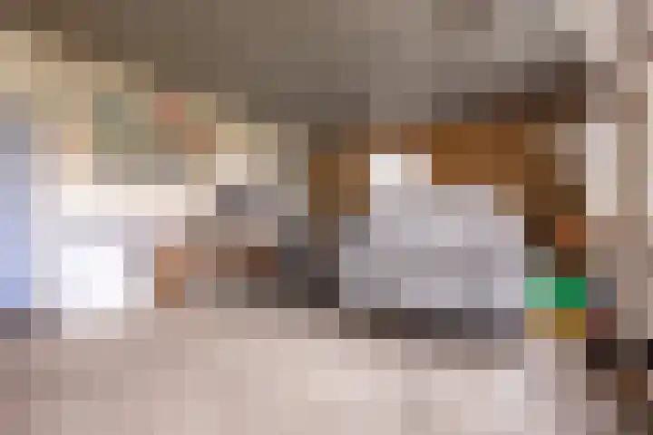 Dorpsstraat 269 Wormer thumbnail 18