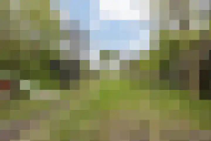 Dorpsstraat 269 Wormer thumbnail 21