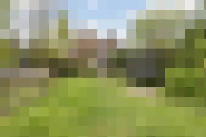 Dorpsstraat 269 Wormer thumbnail 26