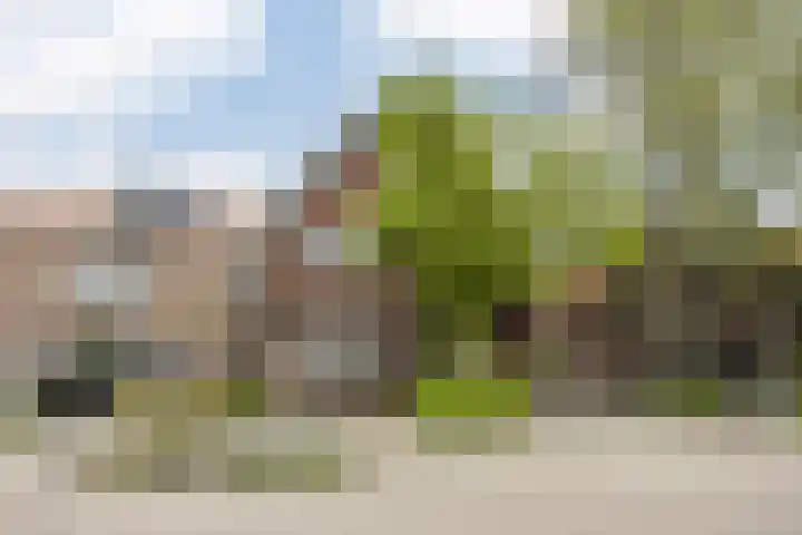 Dorpsstraat 269 Wormer thumbnail 47