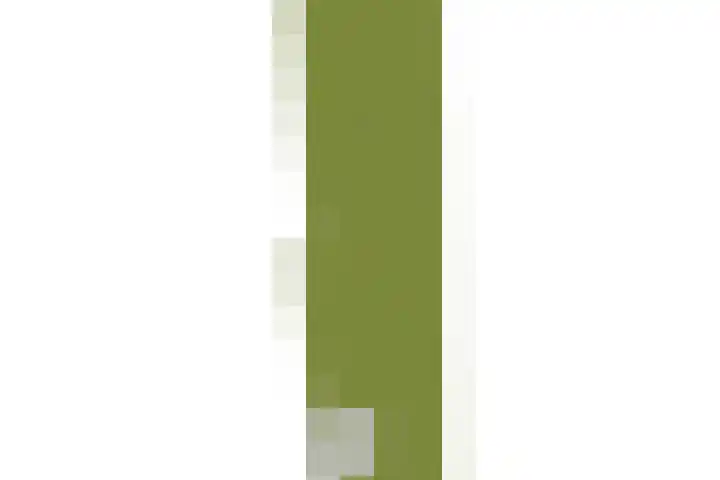 Dorpsstraat 269 Wormer thumbnail 53