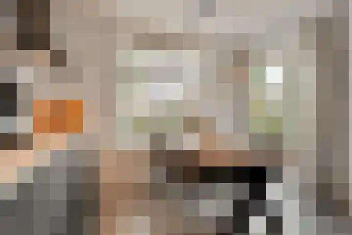 Dorpsstraat 27 b Geesteren thumbnail 4