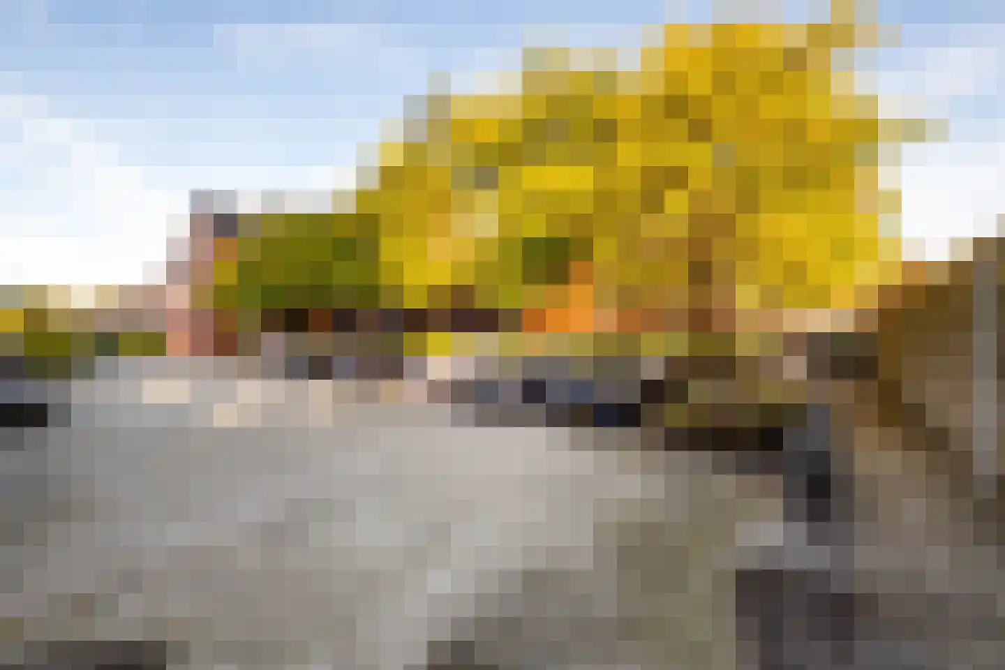Dorpsstraat 27 b Ossendrecht thumbnail 24