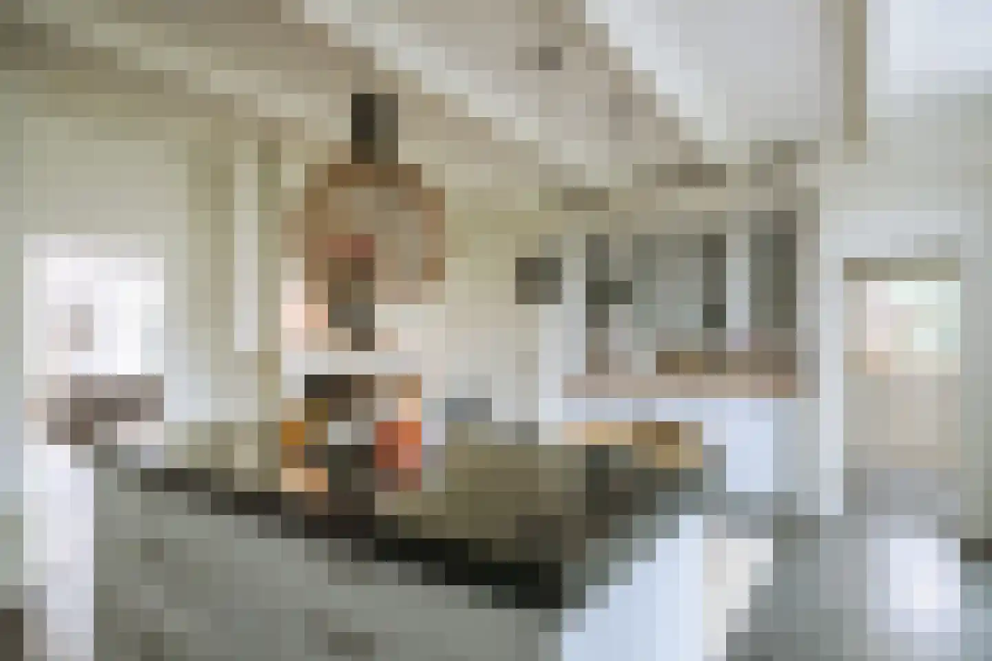 Dorpsstraat 27 Baambrugge thumbnail 11
