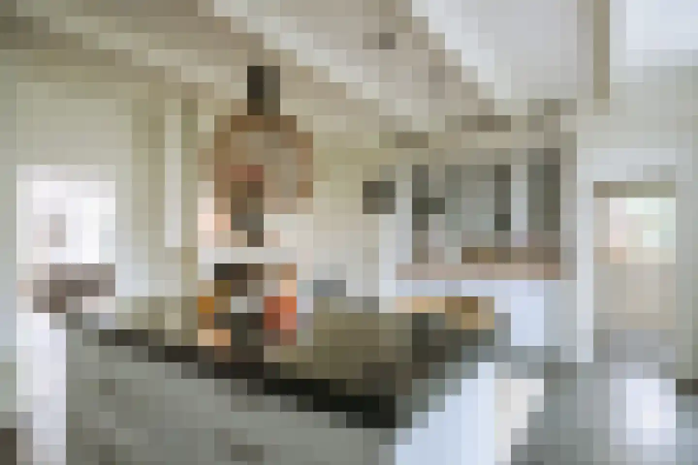 Dorpsstraat 27 Baambrugge thumbnail 11