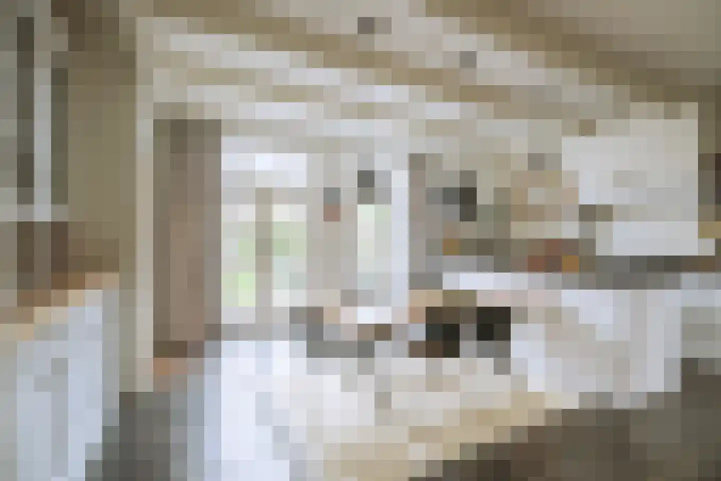 Dorpsstraat 27 Baambrugge thumbnail 13