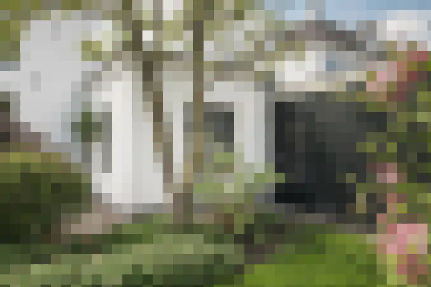 Dorpsstraat 27 Baambrugge thumbnail 19