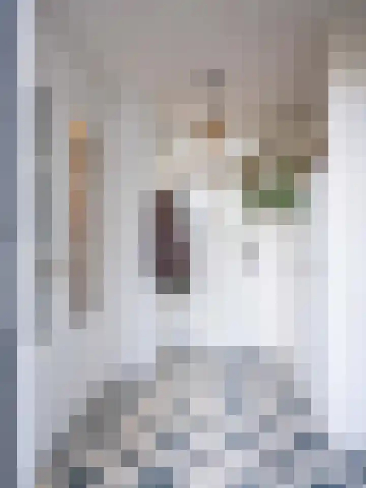 Dorpsstraat 27 Bergen (NH) thumbnail 34